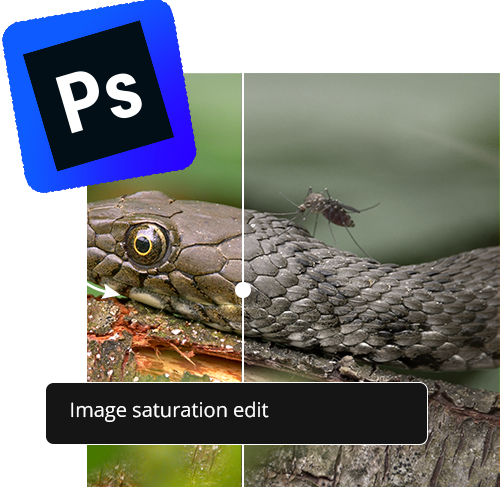 AI Image Prompt Generator