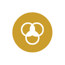 icon branding